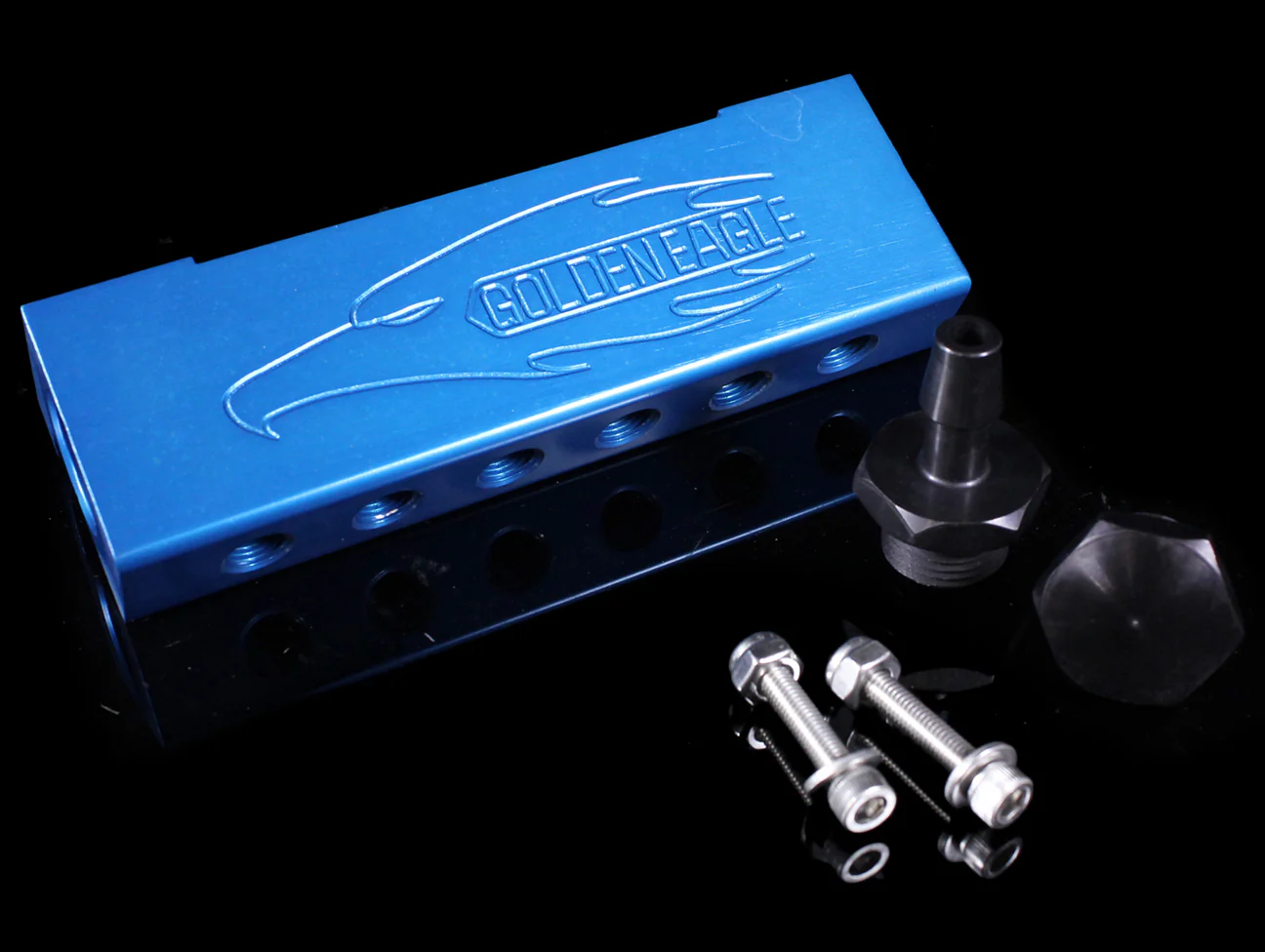 Golden Eagle Vacuum Manifold - Image 3